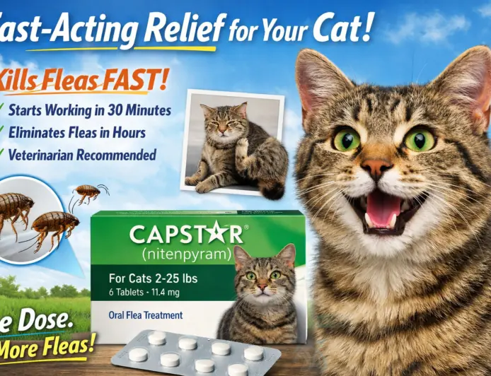 Capstar - Fast-Acting Relief for Your Cat